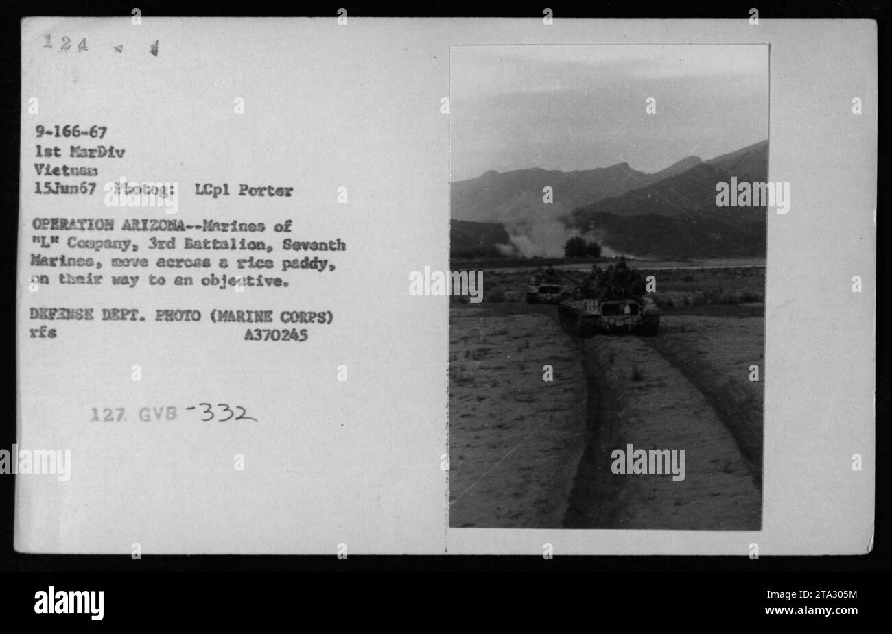 Les Marines de la compagnie 'l', 3e bataillon, 7e Marines, se déplacent à travers un rizier pendant l'opération Arizona le 15 juin 1967. La photographie, prise par le Lcpl porter, montre des chars déployés par la 1e Division des Marines au Vietnam. Il s'agit d'une photographie officielle enregistrée par le département de la Défense, section corps des Marines. Référence de l'image : A370245, 1e MarDiv, 127. GVB-332. Banque D'Images