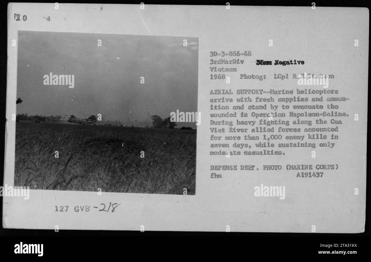 Des hélicoptères marins, en particulier CH-46 Sea Knights, sont photographiés dans cette image prise en 1968 pendant la guerre du Vietnam. Les hélicoptères ont été utilisés pour le soutien aérien, livrant des fournitures fraîches et des munitions aux lignes de front. De plus, ils étaient facilement disponibles pour évacuer les soldats blessés lors de l'opération Napoléon-Saline. Ces efforts aériens contribuèrent grandement au succès des forces alliées, qui furent responsables de plus de 1 000 morts ennemies en seulement sept jours avec un minimum de pertes. Banque D'Images