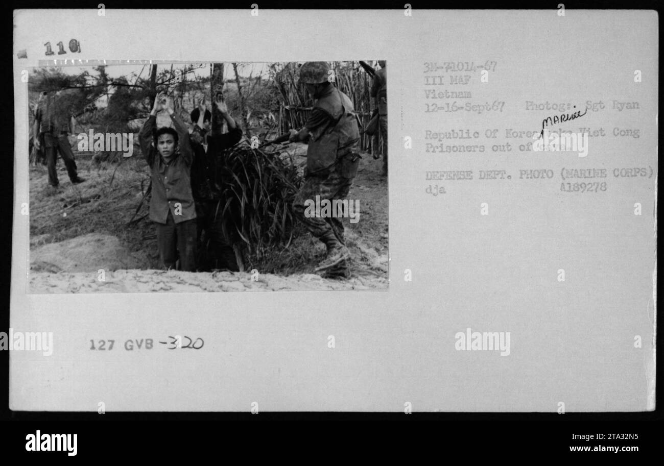 Les Marines de la République de Corée mènent une mission au Vietnam en septembre 1967. L'image montre des Marines ROK de la République de Corée, ainsi que des prisonniers vietnamiens, sortant d'une grotte. Cette photographie a été prise lors d'une opération militaire par la III MAF (III Marine Amphibious Force) au Vietnam, telle qu'elle a été capturée par le photographe du corps des Marines, MARICE St Tyan. Le ministère de la Défense a archivé la photo sous le numéro de référence 4189278. Banque D'Images