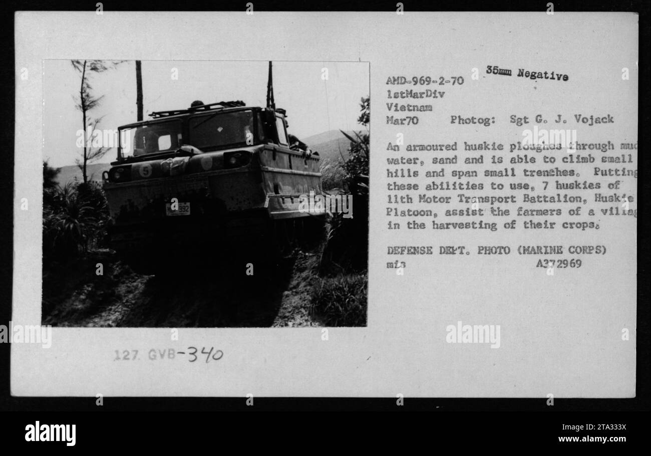 Un véhicule blindé Huskie du 11e Bataillon de transport motorisé de la 1e MarDiv au Vietnam, mars 1970. Le Huskie est vu labourer à travers l'eau boueuse et le sable, capable d'escalader de petites collines et de traverser de petites tranchées. Sur cette photo, sept Huskies aident les agriculteurs à récolter leurs récoltes dans un village. DEPT. DÉFENSE PHOTO (MARINE CORPS) MIS A372969. Sgt G. J. Vojack – photographe. Banque D'Images
