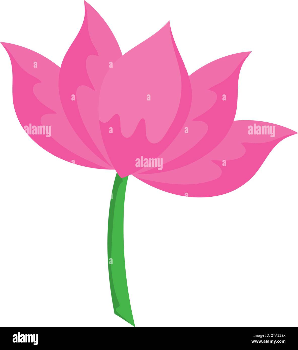 motif fleur de lotus vasant Illustration de Vecteur