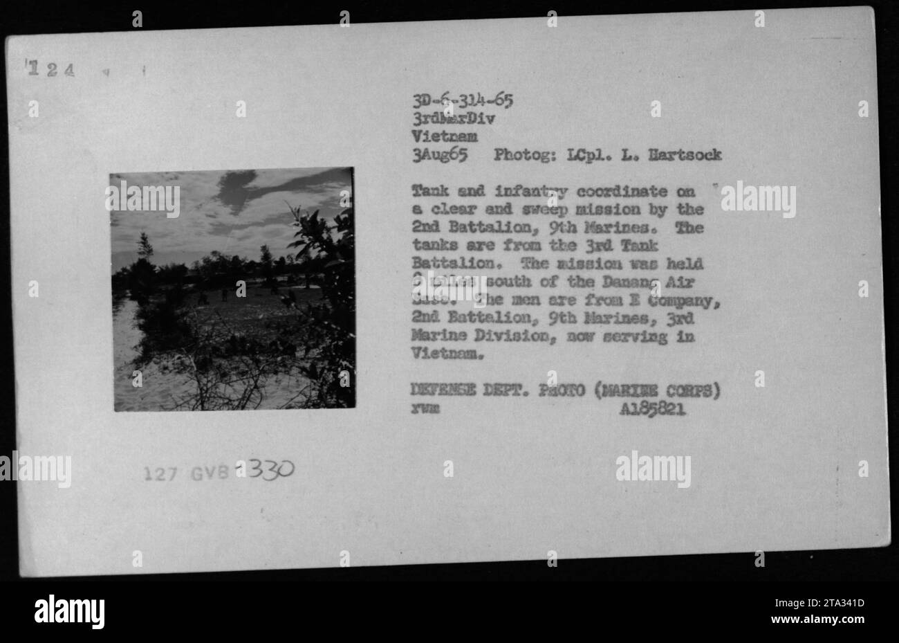 Les chars et l'infanterie se coordonnent lors d'une mission de nettoyage et de balayage menée par le 2e bataillon, 9e Marines le 3 août 1965. Les chars, du 3e bataillon de chars, ont été déployés à 8 miles au sud de la base aérienne de Danang au Vietnam. Les soldats photographiés sont de la compagnie E, 2e bataillon, 9e Marines, 3e division des Marines. Photo du Département de la Défense (corps des Marines) A185821, prise par le Lcpl. L. Hartsock. Banque D'Images