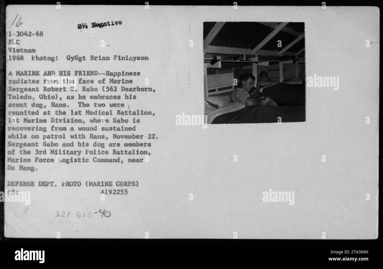 Le sergent de marine Robert S. Sabo est vu embrassant son chien scout, Hans, au 1e bataillon médical de la 1e division de marine, au Vietnam en 1968. Le sergent Sabo avait été blessé alors qu'il patrouillait avec Hans, mais ils étaient heureux réunis. Ils ont tous deux servi comme membres du 3e bataillon de police militaire, Marine Force Logistic Command, près de Da Nang. L'image a été capturée par le photographe GySgt Brian Finlayson pour le Département de la Défense. Banque D'Images