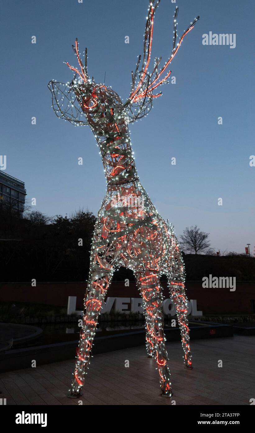 Le renne de Noël Banque D'Images