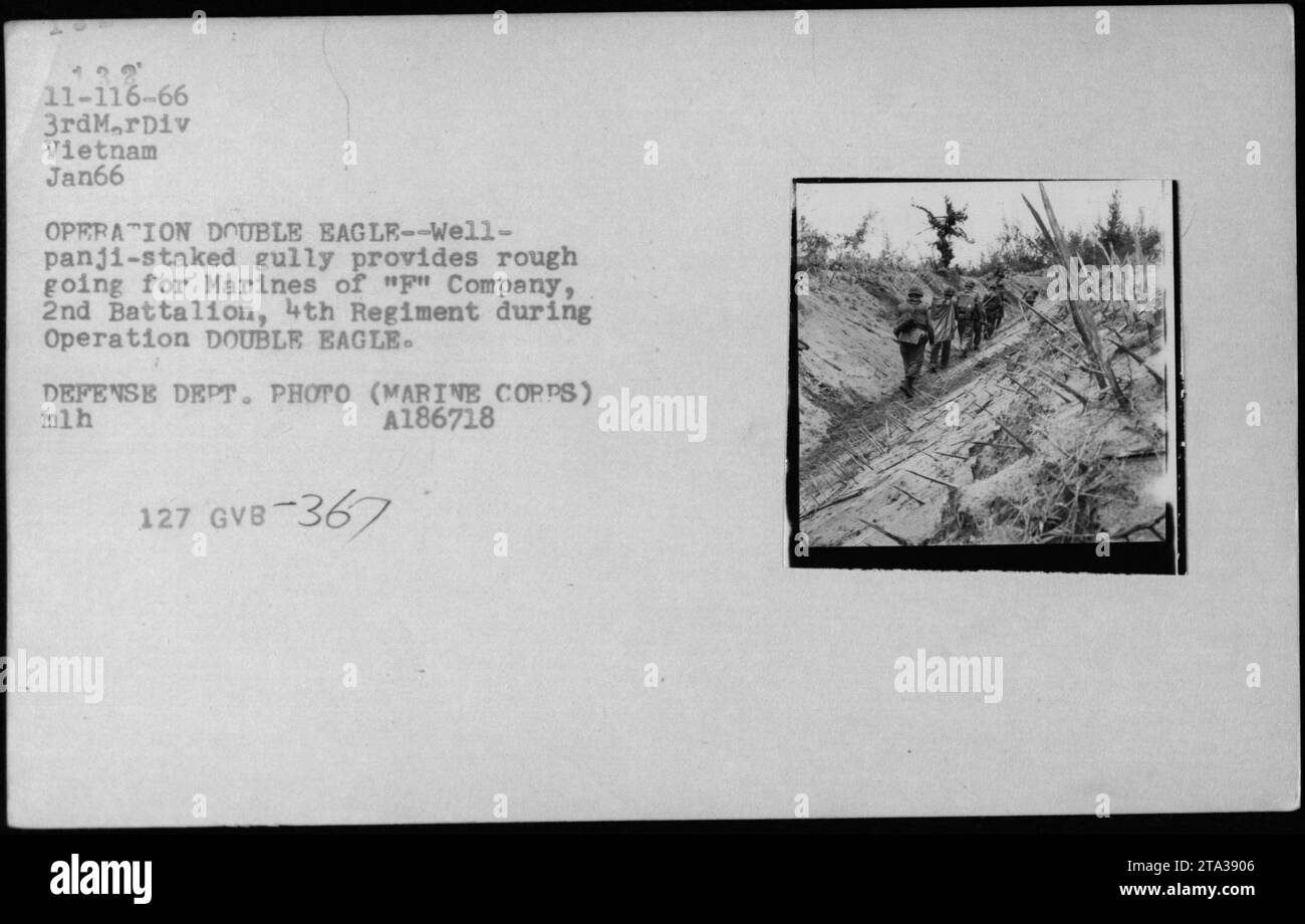 Les Marines AMÉRICAINS de la compagnie F, 2e bataillon, 4e régiment manœuvrent à travers un ravin panji-jalonné lors de l'opération DOUBLE EAGLE en janvier 1966. Le terrain accidenté et les emplacements d'armes vietnamiens et les pièges ont posé des défis pour les Marines pendant cette opération militaire au Vietnam. » Banque D'Images