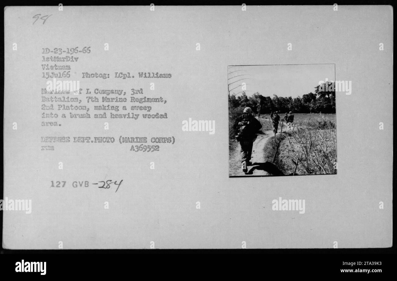 Les Marines de la compagnie I, 3e bataillon, 7e régiment de Marines, 2e peloton, effectuent une opération de balayage dans une zone de brousse et densément boisée du Vietnam le 15 juillet 1966. Cette photographie, prise par l'ICpl. Williams, capture les troupes effectuant des patrouilles pendant la guerre du Vietnam. Photo du ministère de la Défense (corps des Marines) A369552. Banque D'Images