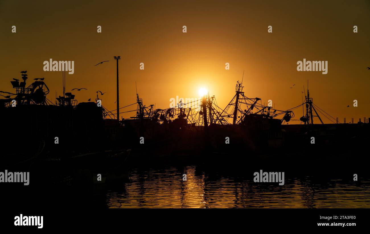 Port d'Essaouira au coucher du soleil avec des silhouettes de bateaux de pêche marocains traditionnels. L'air est rempli de l'odeur de l'eau salée et des sons de seagu Banque D'Images