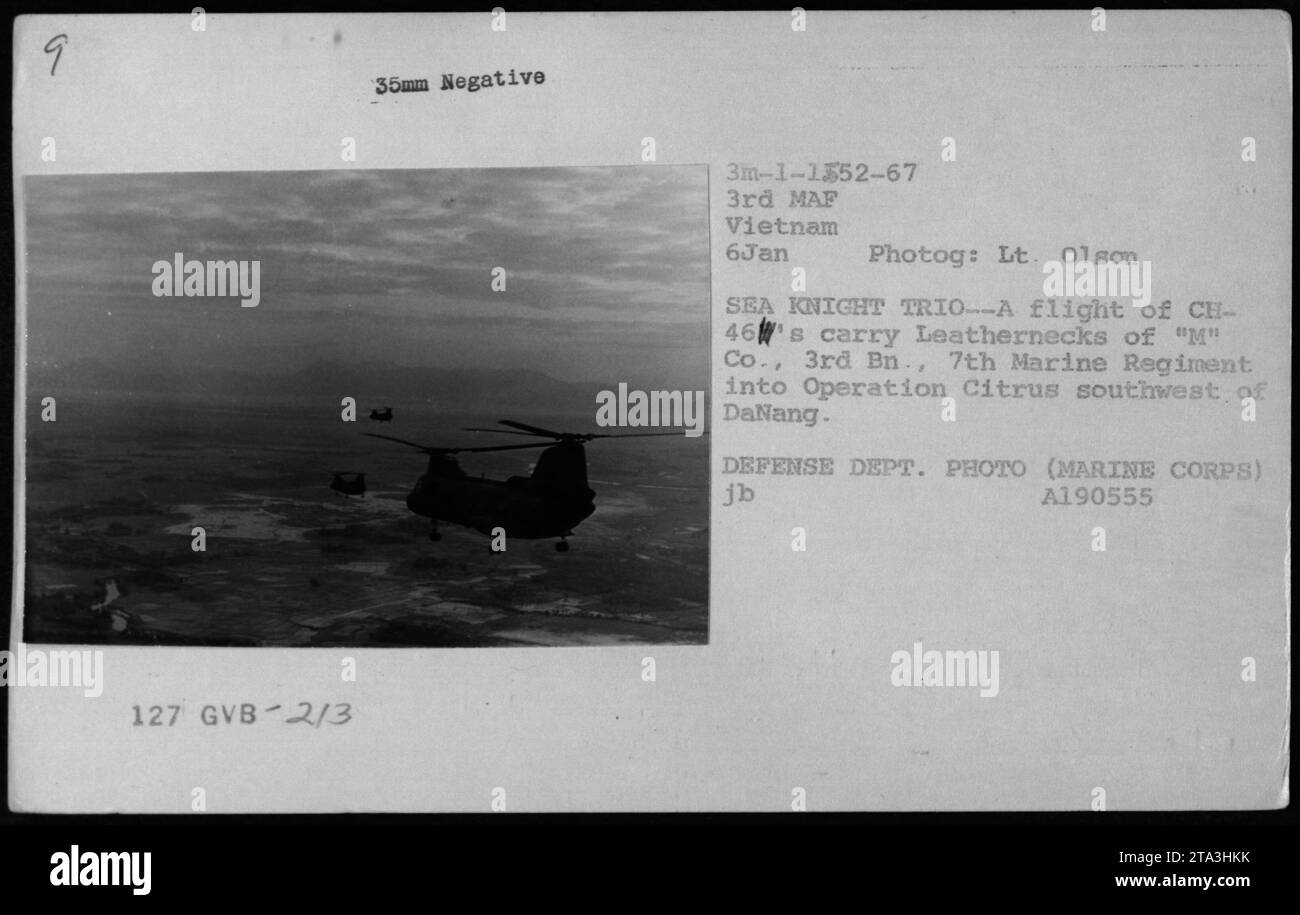 Un vol d'hélicoptères CH-46 transporte des membres de 'M' Co., 3rd BN., 7th Marine Regiment lors de l'opération Citrus au sud-ouest de Danang le 9 janvier 1967. Cette photographie, prise par le lieutenant Olson, montre un trio de Sea Knights débarquant au Vietnam. C'est une photo du ministère de la Défense. Banque D'Images