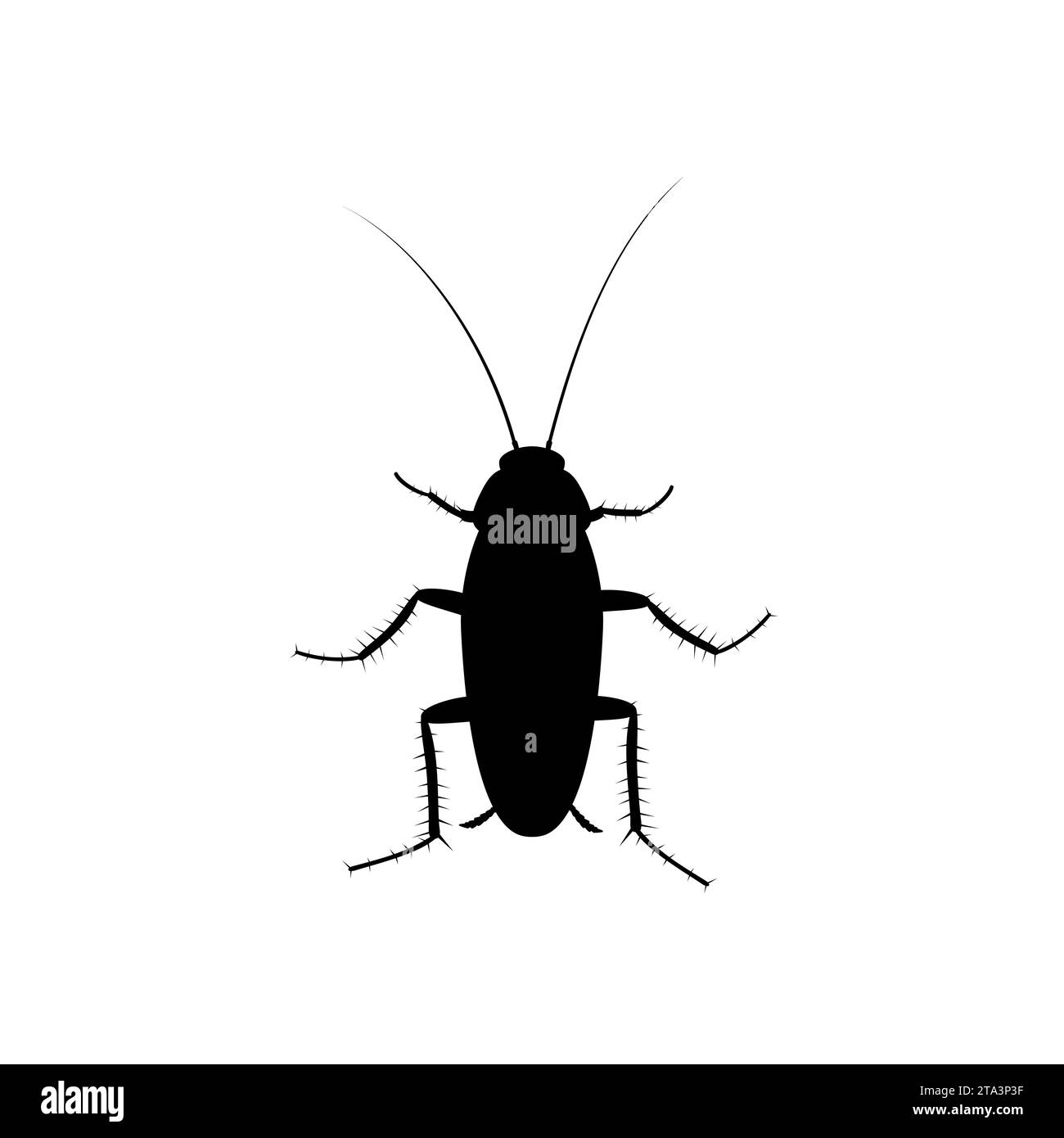 Icône d'insecte de cafard isolé sur fond blanc, vue de dessus de silhouette de bug de Pest. Pollution parasite de corps plat, illustration vectorielle de cafards. Illustration de Vecteur