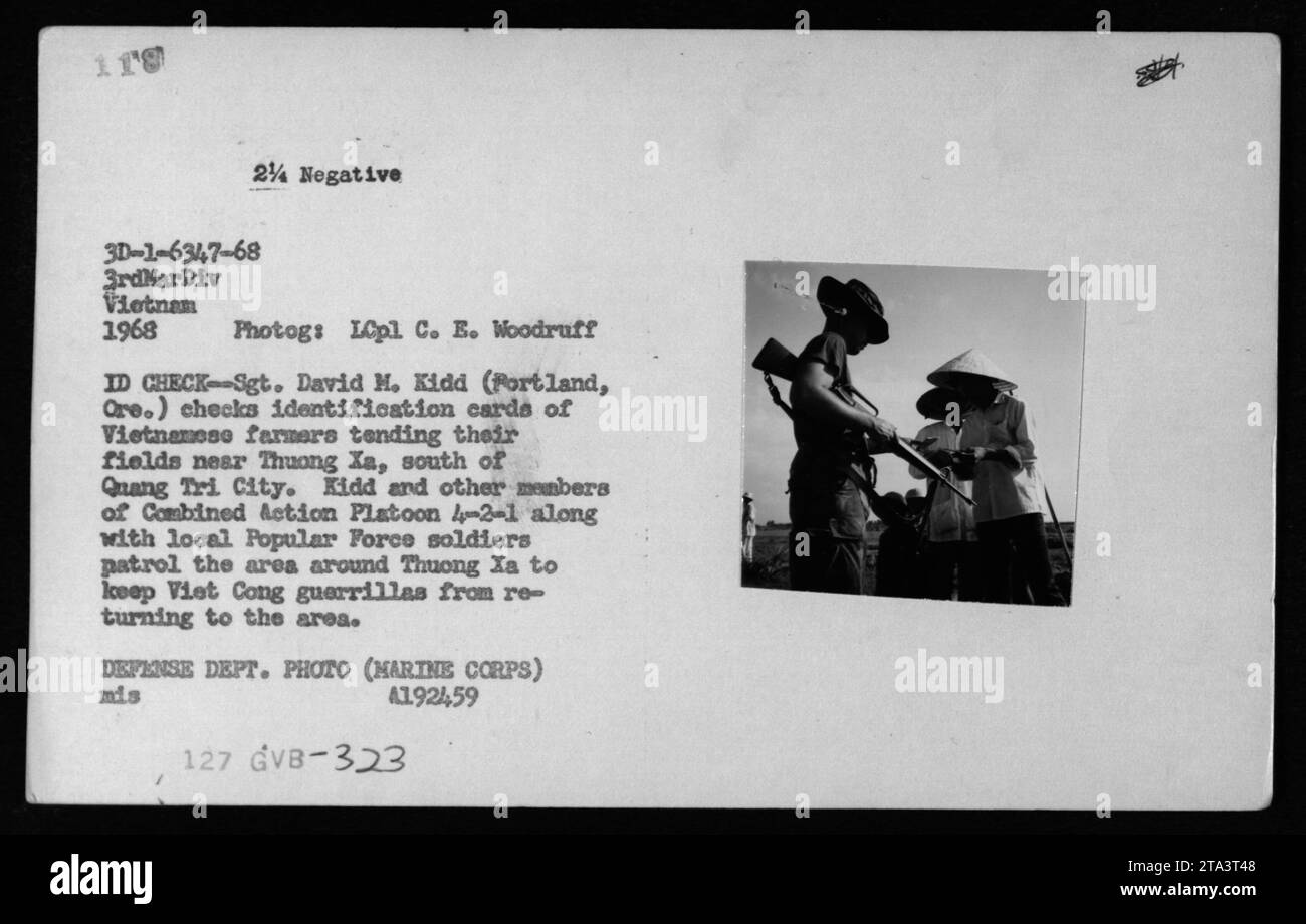 Le sergent David M. Kidd, membre du peloton de l'action combinée 4-2-1, vérifie les cartes d'identité des agriculteurs vietnamiens à Thuong Xa, au sud de Quang Tri City. Kidd, avec des soldats de la Force populaire locale, effectue des patrouilles pour empêcher le retour des guérilleros Viet Cong dans la région. La photographie a été prise par le lcpl C. E. Woodruff en 1968. Banque D'Images