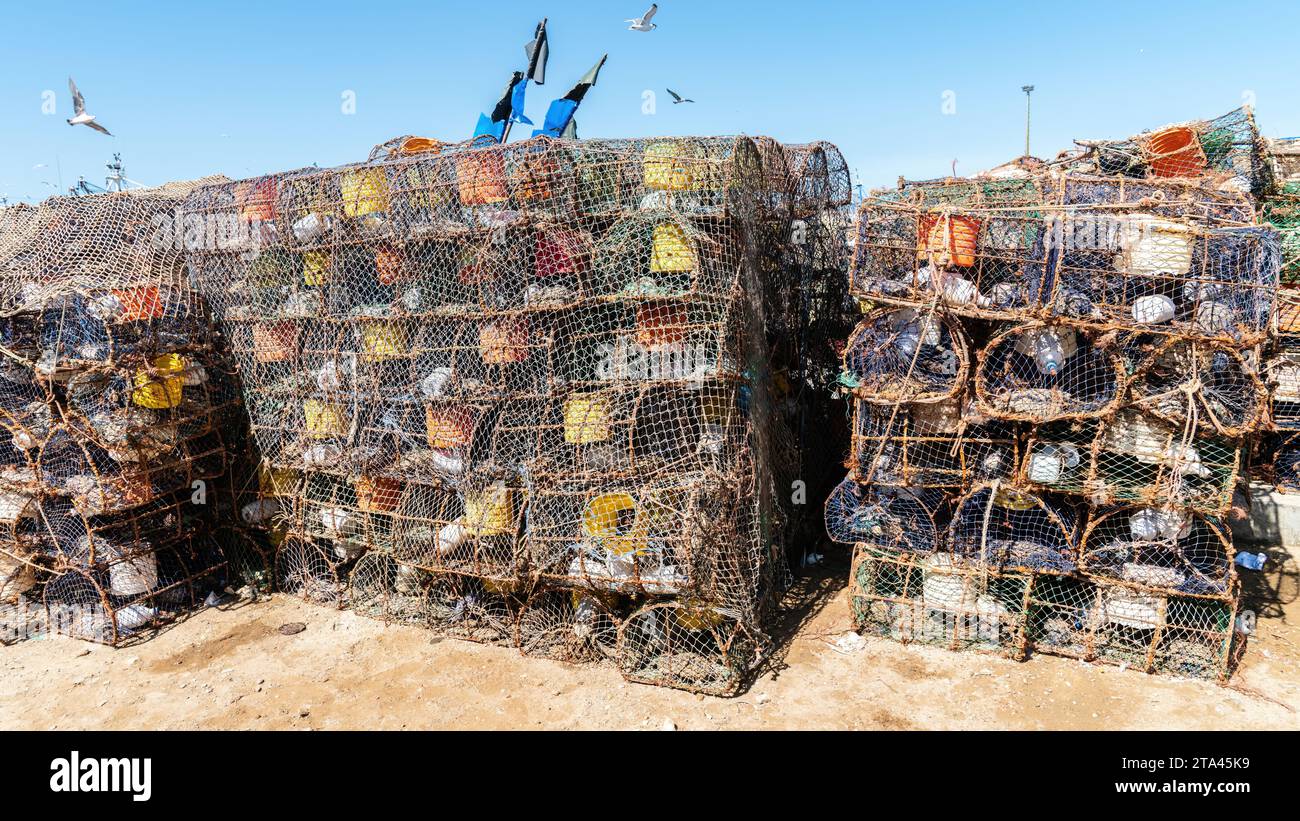Crevettes et pièges à crevettes au port de pêche d'Essaouira, Maroc. Les pêcheurs placent stratégiquement les pièges à crevettes sur le fond de l'océan, les appâtant souvent Banque D'Images