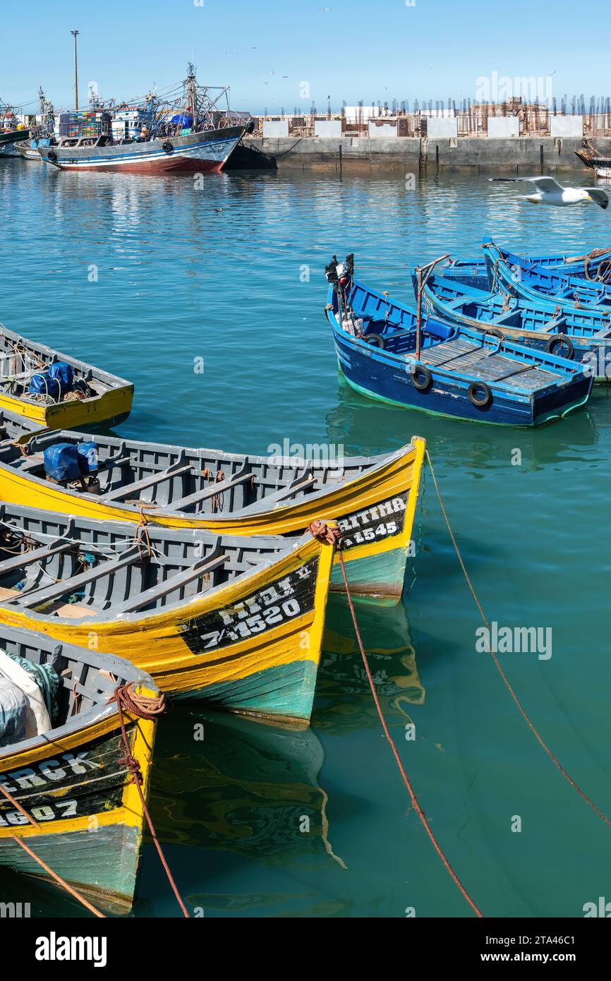 Essaouira, Maroc - 17 septembre 2022 : bateaux de pêche traditionnels amarrés dans le port d'Essaouira. Les bateaux de pêche bordent le port, apportant dans la journée ca Banque D'Images