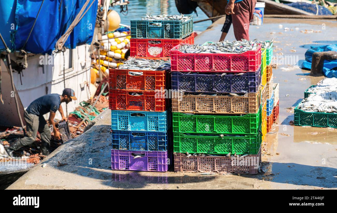 Essaouira, Maroc - 17 septembre 2022 : caisses pleines de poissons quotidiens apportés par les pêcheurs au port d'Essaouira Banque D'Images
