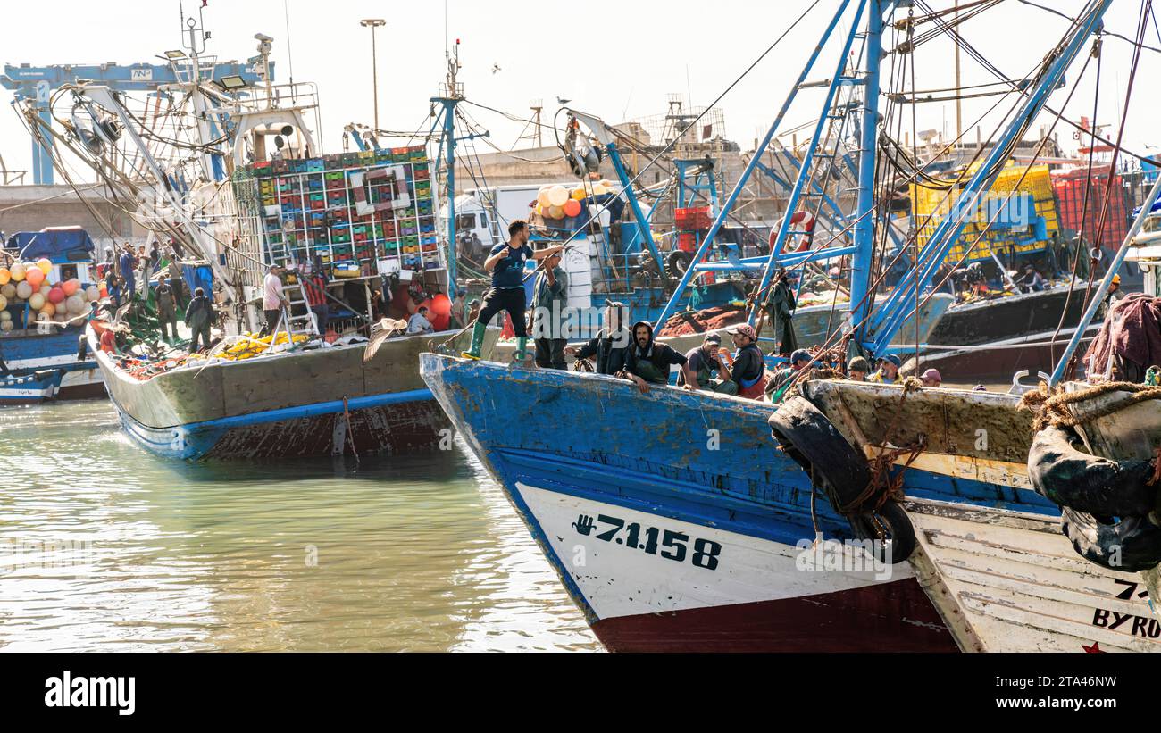Essaouira, Maroc - 17 septembre 2022 : pêcheurs sur un bateau de pêche bleu traditionnel revenant de voile et apportant les prises de la journée au port d'es Banque D'Images
