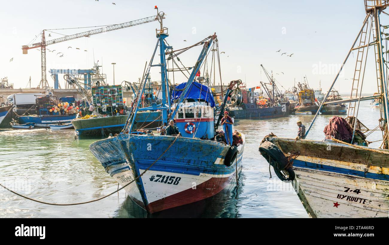 Essaouira, Maroc - 17 septembre 2022 : pêcheurs sur un bateau de pêche bleu traditionnel revenant de voile et apportant les prises de la journée au port d'es Banque D'Images