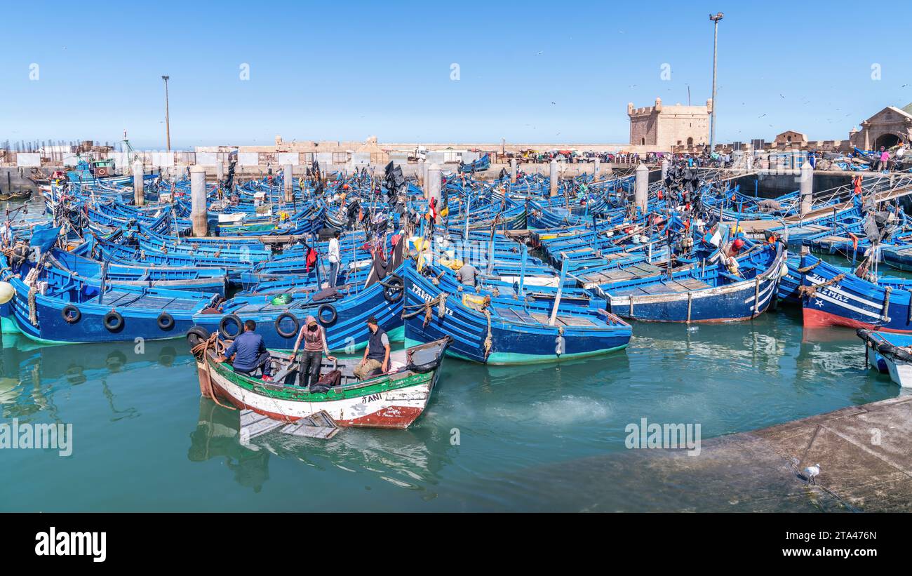 Essaouira, Maroc - 17 septembre 2022 : pêcheurs à bord de bateaux de pêche bleus amarrés au port d'Essaouira. Les bateaux de pêche bordent le port, amenant dans la da Banque D'Images