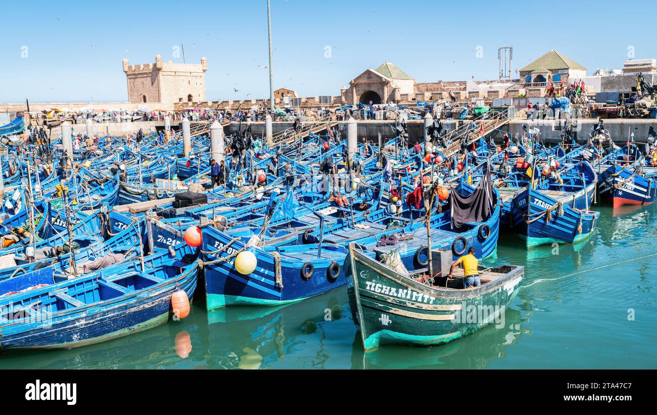 Essaouira, Maroc - 17 septembre 2022 : pêcheurs à bord de bateaux de pêche bleus amarrés au port d'Essaouira. Les bateaux de pêche bordent le port, amenant dans la da Banque D'Images