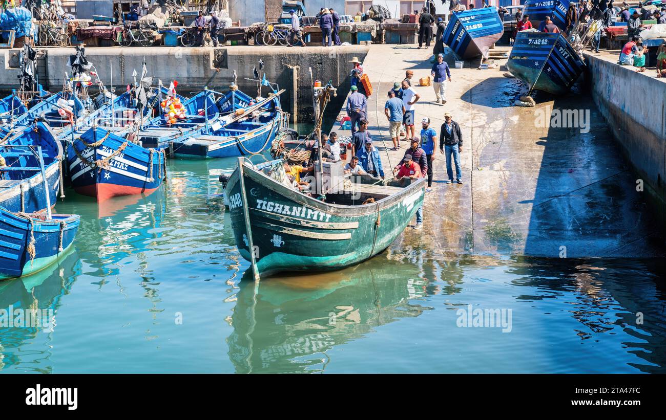 Essaouira, Maroc - 17 septembre 2022 : pêcheur débarquant le bateau de pêche à la mer pour sa première voile au port d'Essaouira. Banque D'Images