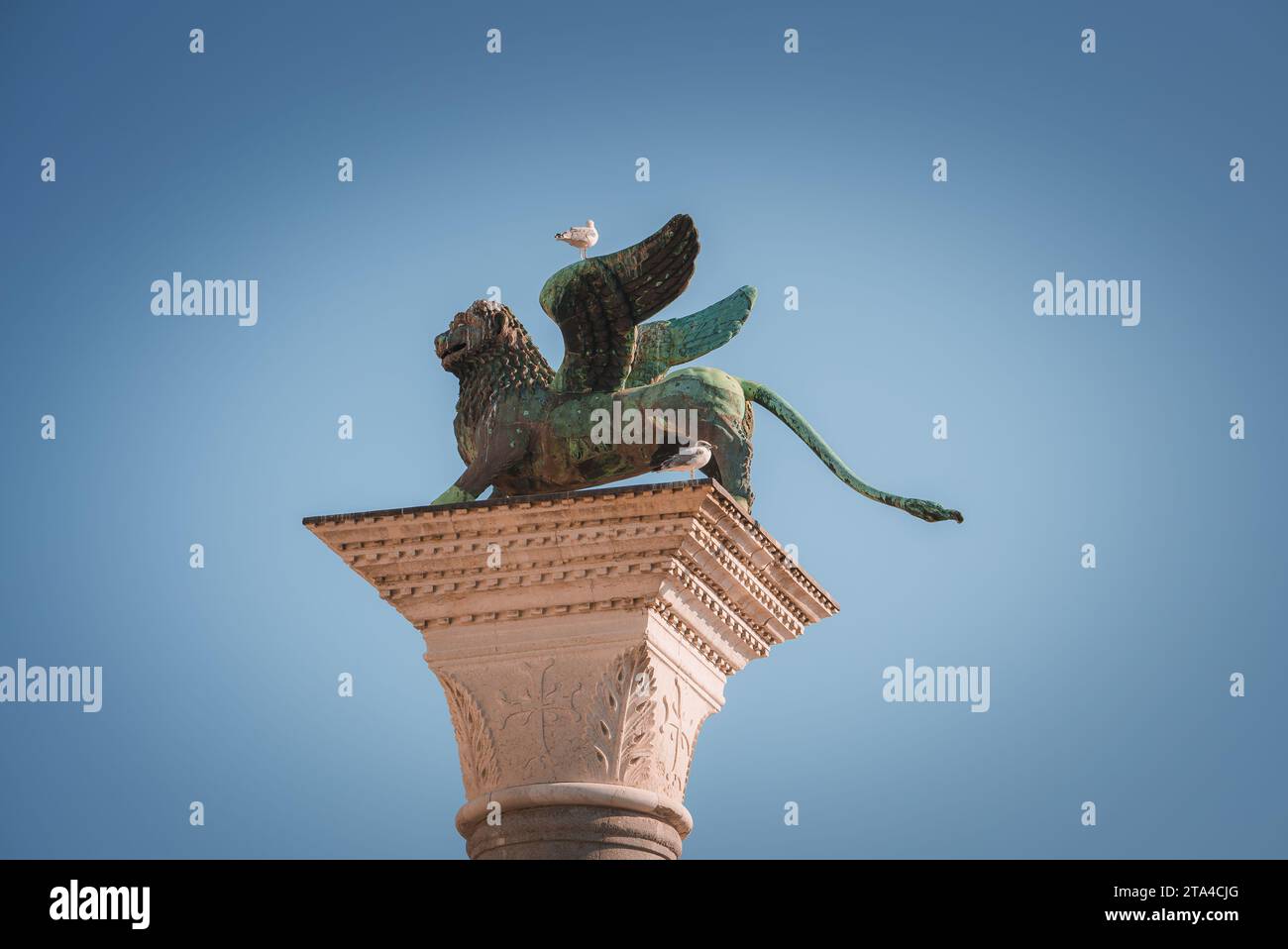 Vue au Lion de Venise sur la Piazza San Marco à Venise Banque D'Images