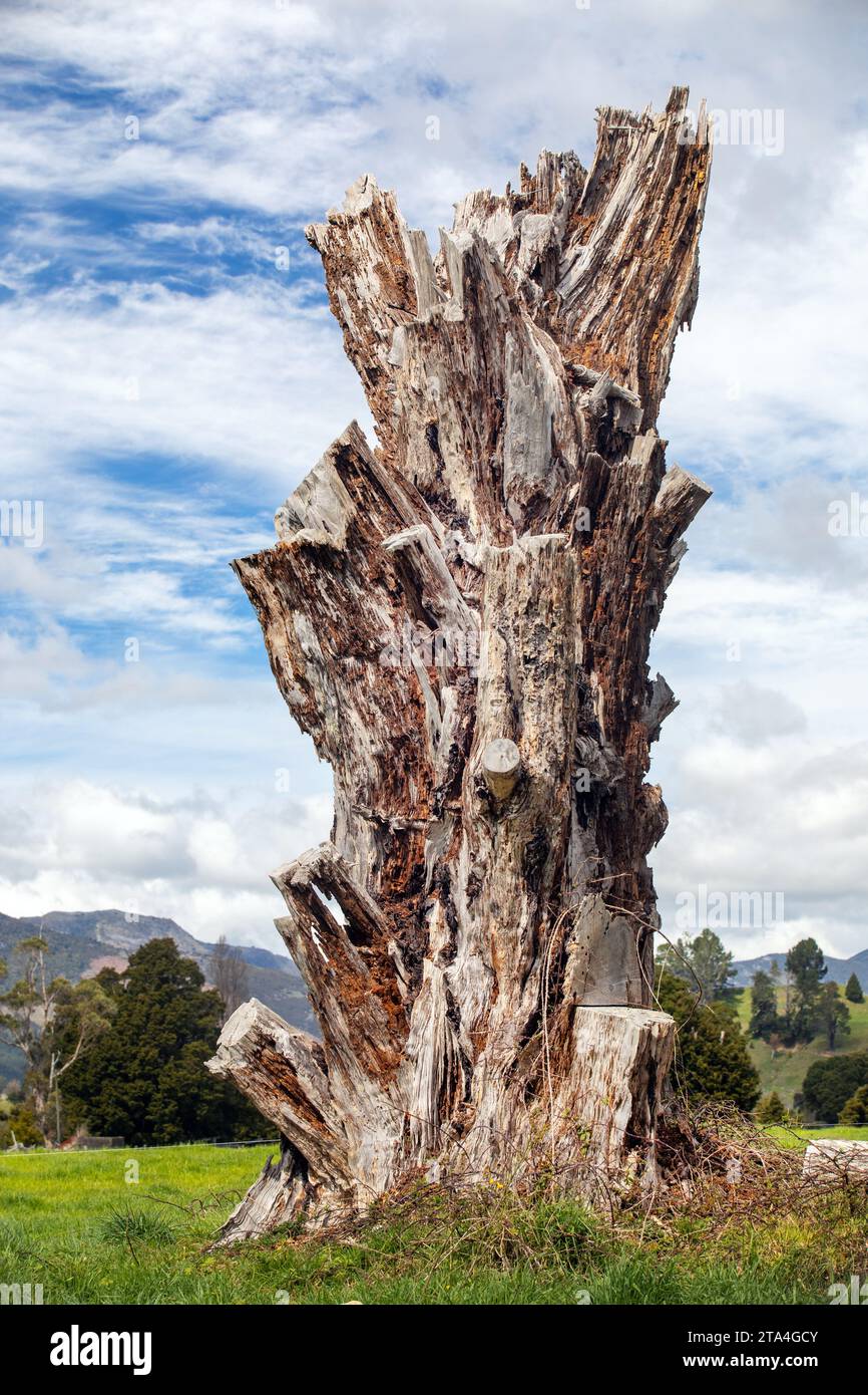 Photo de Tim Cuff. 26 septembre 2023. Golden Bay, Nouvelle-Zélande. Banque D'Images