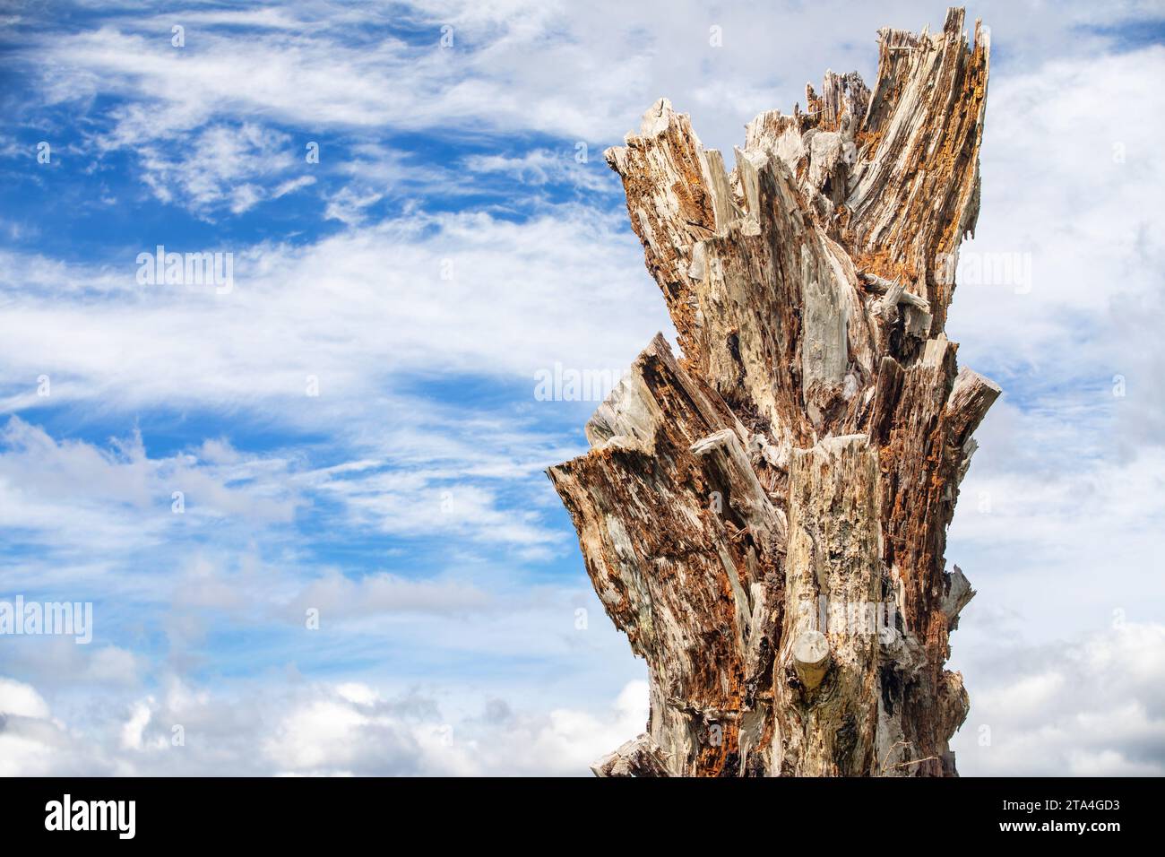 Photo de Tim Cuff. 26 septembre 2023. Golden Bay, Nouvelle-Zélande. Banque D'Images