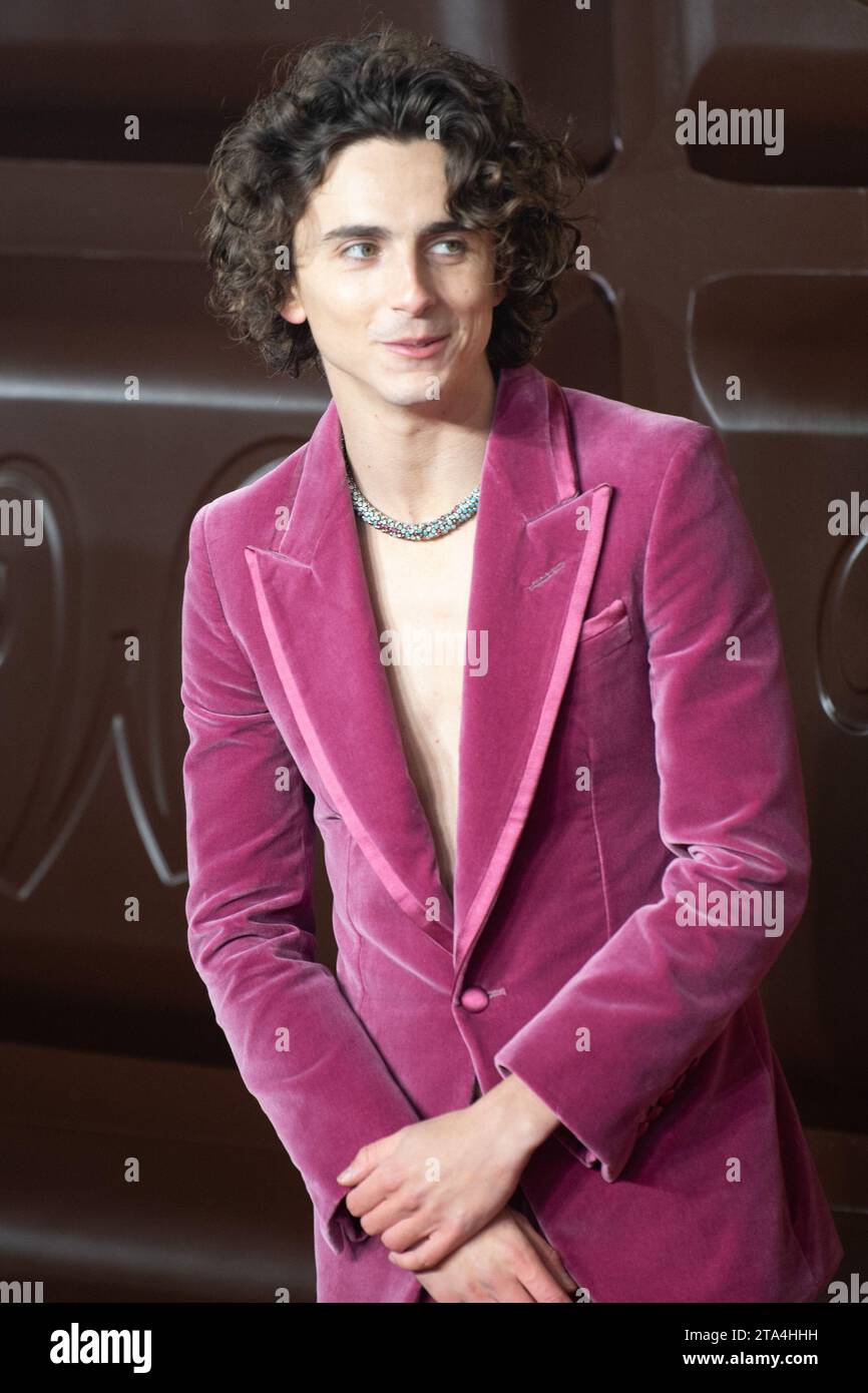 Londres, Royaume-Uni. 28 novembre 2023. Photo : Timothee Chalamet assiste à la première mondiale de 'Wonka' au Royal Festival Hall, Southbank. Crédit : Justin ng/Alamy Live News Banque D'Images