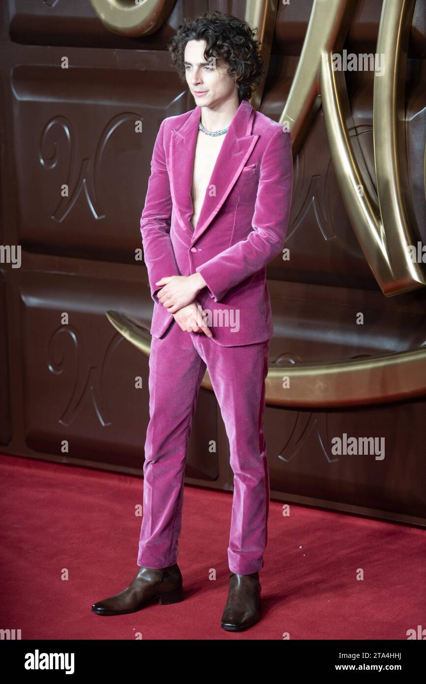 Londres, Royaume-Uni. 28 novembre 2023. Photo : Timothee Chalamet assiste à la première mondiale de 'Wonka' au Royal Festival Hall, Southbank. Crédit : Justin ng/Alamy Live News Banque D'Images