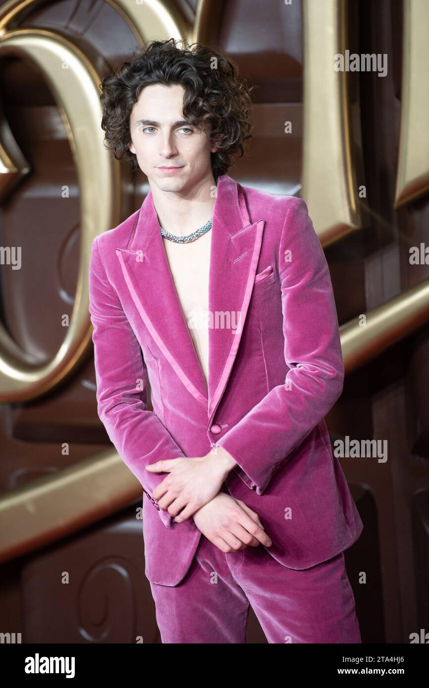 Londres, Royaume-Uni. 28 novembre 2023. Photo : Timothee Chalamet assiste à la première mondiale de 'Wonka' au Royal Festival Hall, Southbank. Crédit : Justin ng/Alamy Live News Banque D'Images