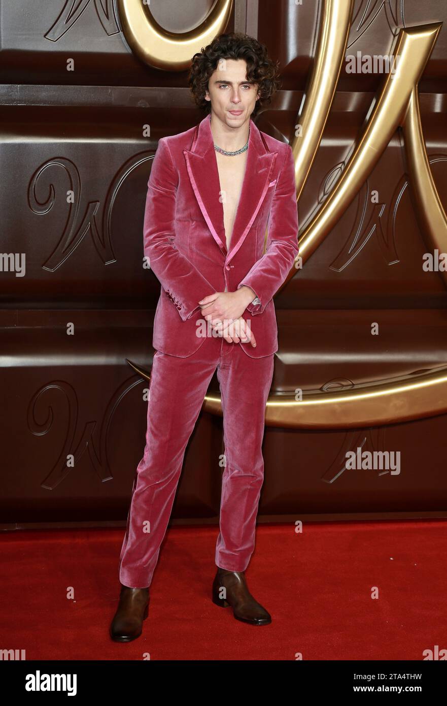 Londres, Royaume-Uni. 28 novembre 2023. Timothee Chalamet assiste à la première mondiale « Wonka » au Royal Festival Hall de Londres. Crédit : SOPA Images Limited/Alamy Live News Banque D'Images