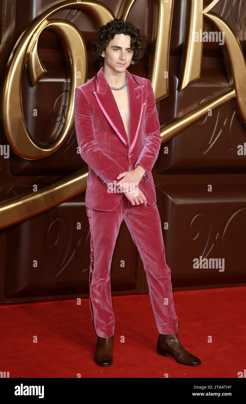 Londres, Royaume-Uni. 28 novembre 2023. Timothee Chalamet assiste à la première mondiale « Wonka » au Royal Festival Hall de Londres. Crédit : SOPA Images Limited/Alamy Live News Banque D'Images