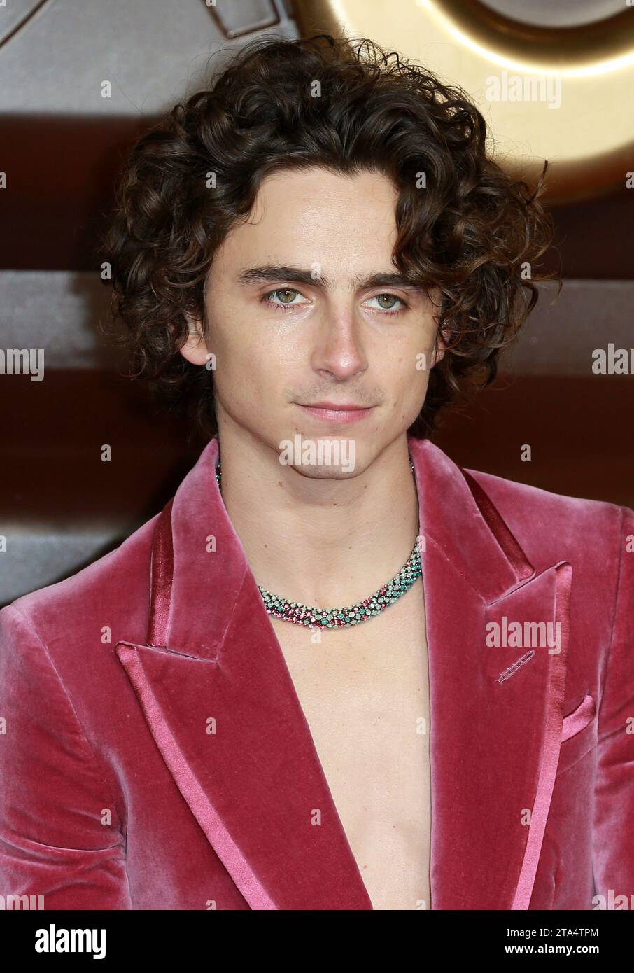 Londres, Royaume-Uni. 28 novembre 2023. Timothee Chalamet assiste à la première mondiale « Wonka » au Royal Festival Hall de Londres. (Photo Fred Duval/SOPA Images/Sipa USA) crédit : SIPA USA/Alamy Live News Banque D'Images