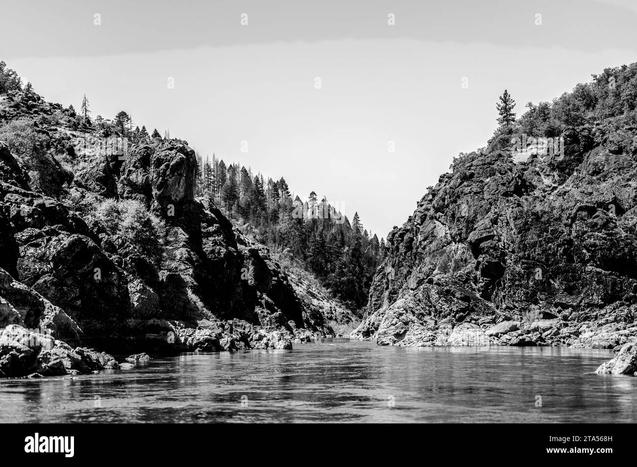 Vue sur le niveau de l'eau de Hellgate Canyon sur la rivière sauvage et pittoresque Rogue Banque D'Images