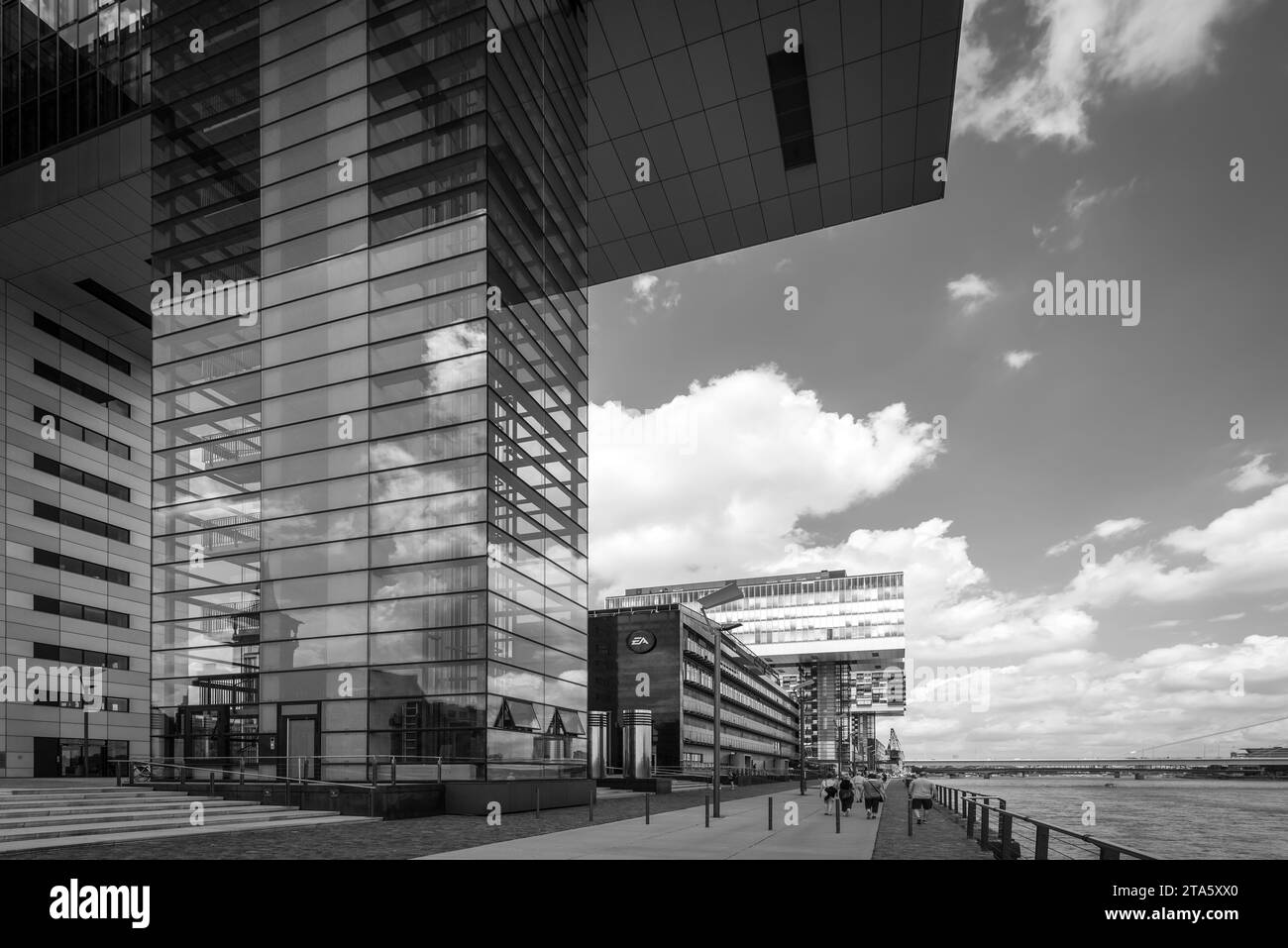 Cologne, Allemagne - 11 juin 2022 : Maisons de grues modernes (Kranhauser) sur un front de mer à Cologne, Rhénanie du Nord-Westphalie, Allemagne. Photo noir et blanc Banque D'Images