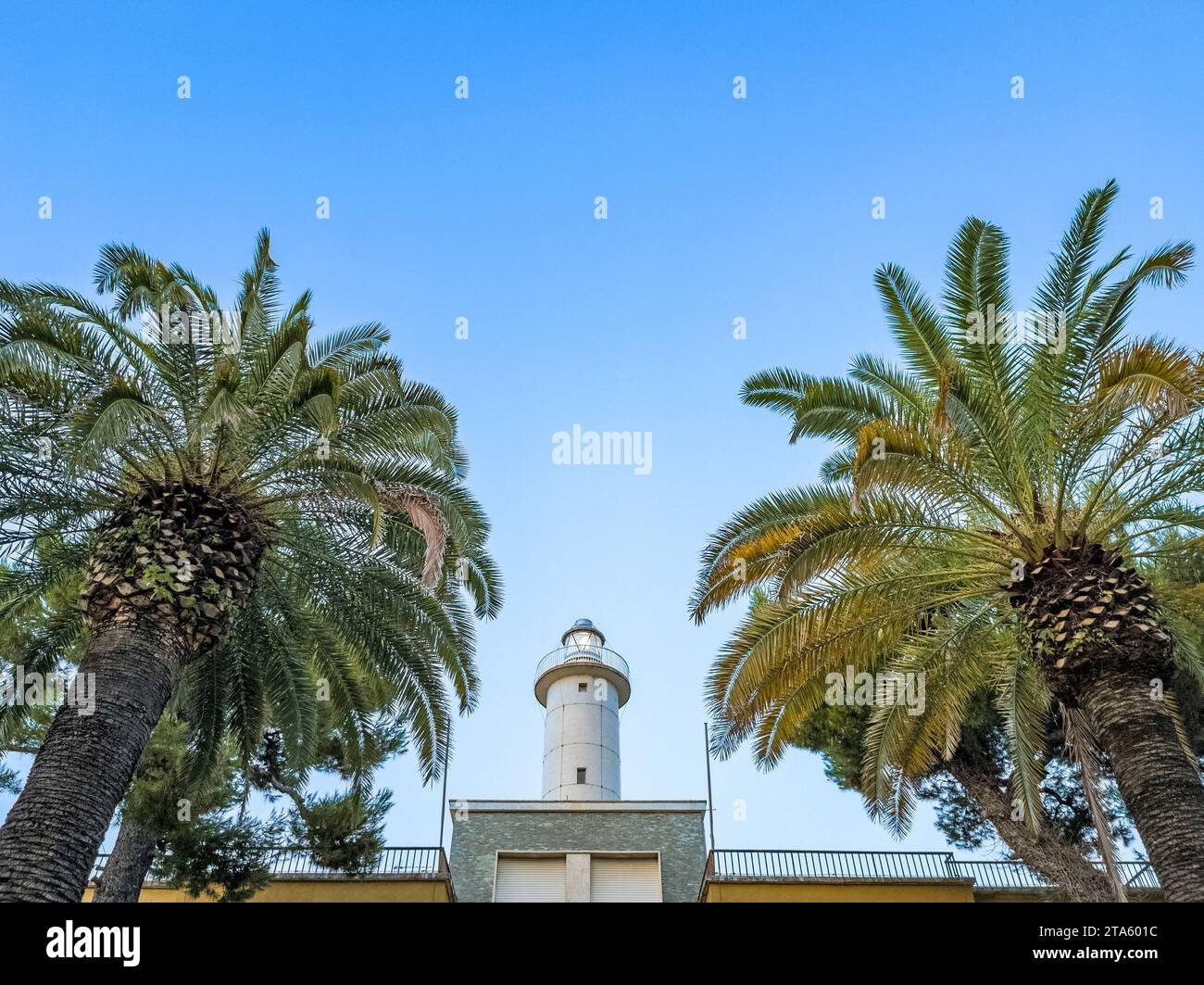 San Benedetto del Tronto ville et comune dans les Marches, Italie, par la mer Adriatique, phare et palmiers Banque D'Images