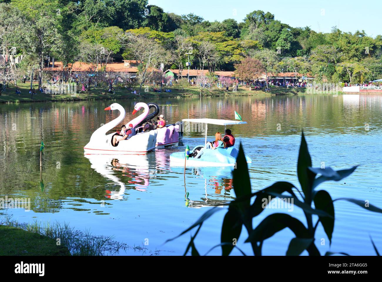 Pédalo ou aviron sur le lac à Lago avec grande roue en arrière-plan avec drapeaux brésiliens, panoramique, sélectif foyer Banque D'Images
