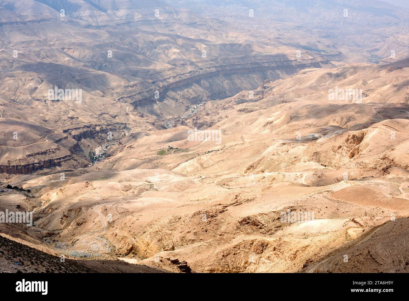 Vallée de la rivière Jordan (vallée du Rift de Jordan). Jordanie. Banque D'Images