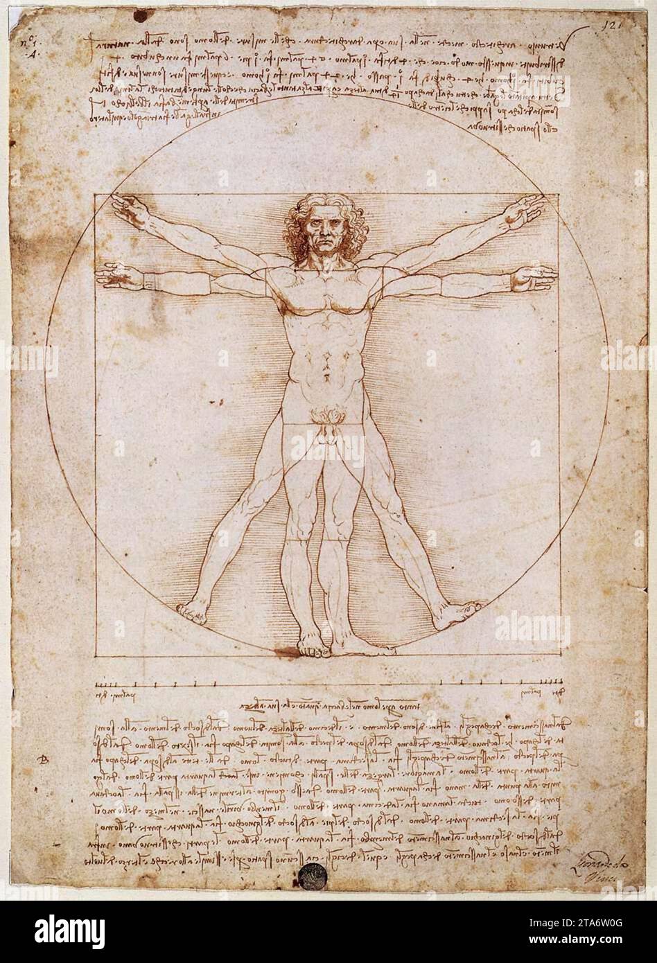 Vitruvian Man 1492 de Leonardo Da Vinci Banque D'Images
