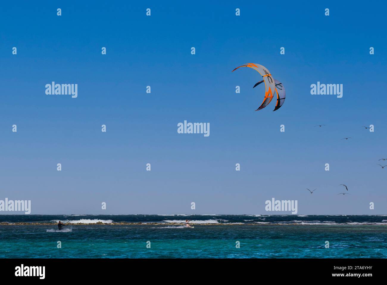Kite Surfers profitant du vent et des vagues des Caraïbes près de Happy Island au large de Union Island, avec Blue Sky, Seagulls et Waves. Banque D'Images