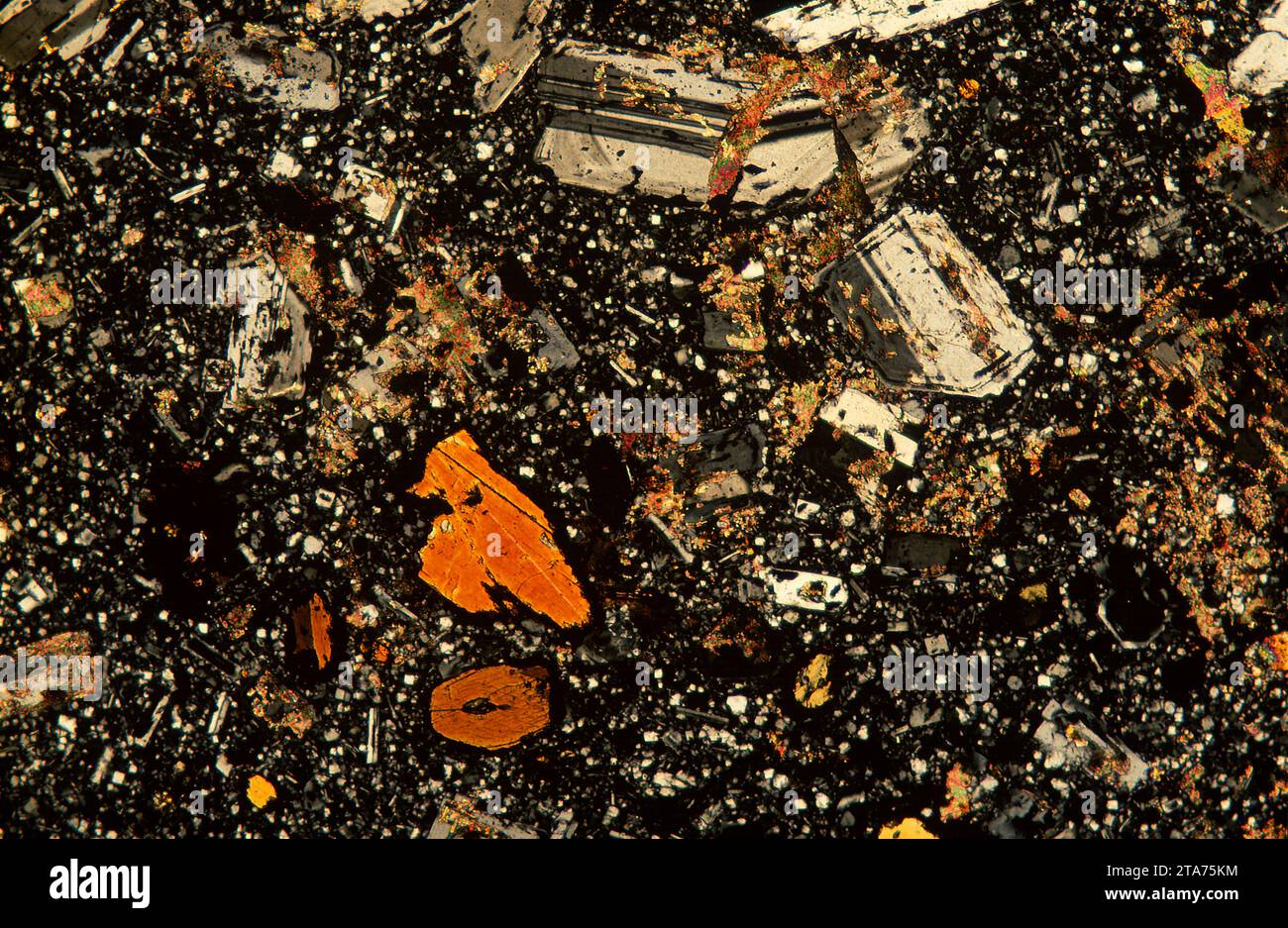 L'andésite est une roche volcanique intermédiaire entre le basalte et la rhyolite. Photomicrographe, section mince, lumière polarisée. Banque D'Images
