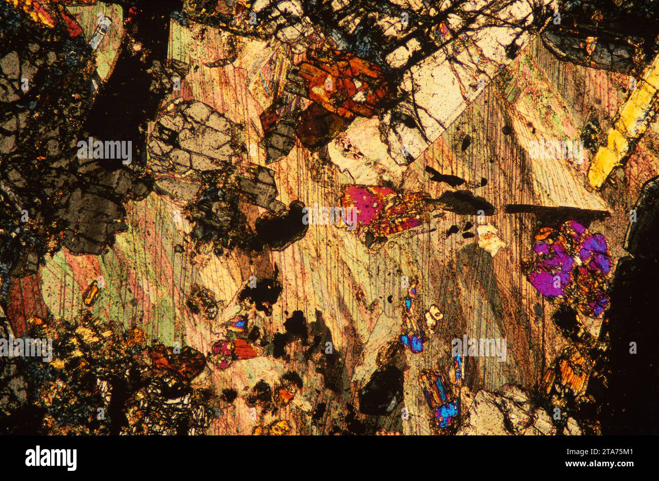 Amphibolite au grenat. L’amphibolite est une roche métamorphique riche en amphiboles. Photomicrographe, section mince, lumière polarisée. Banque D'Images