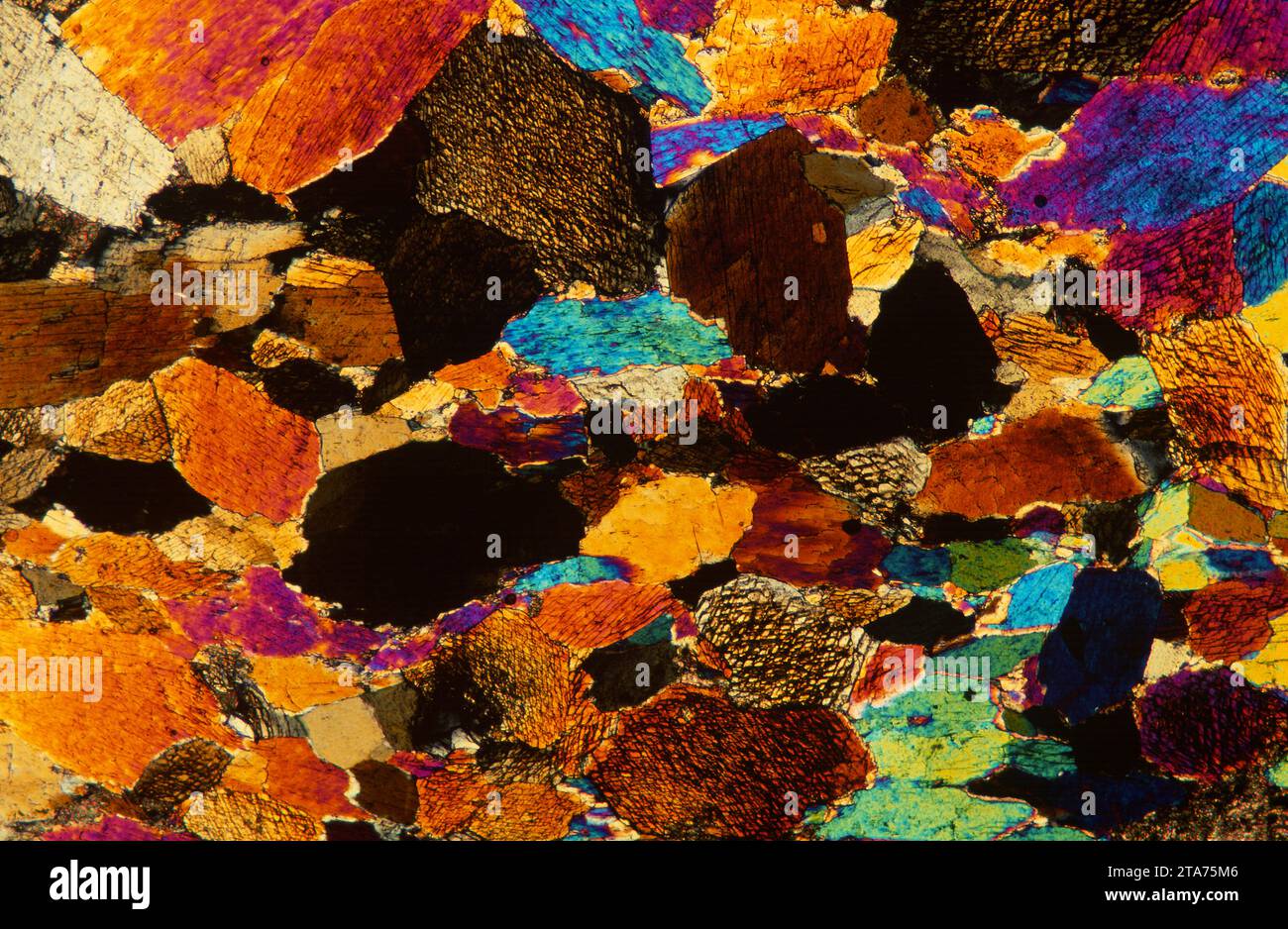 L’amphibolite est une roche métamorphique riche en amphibole (hornblende). Photomicrographe, section mince, lumière polarisée. Banque D'Images