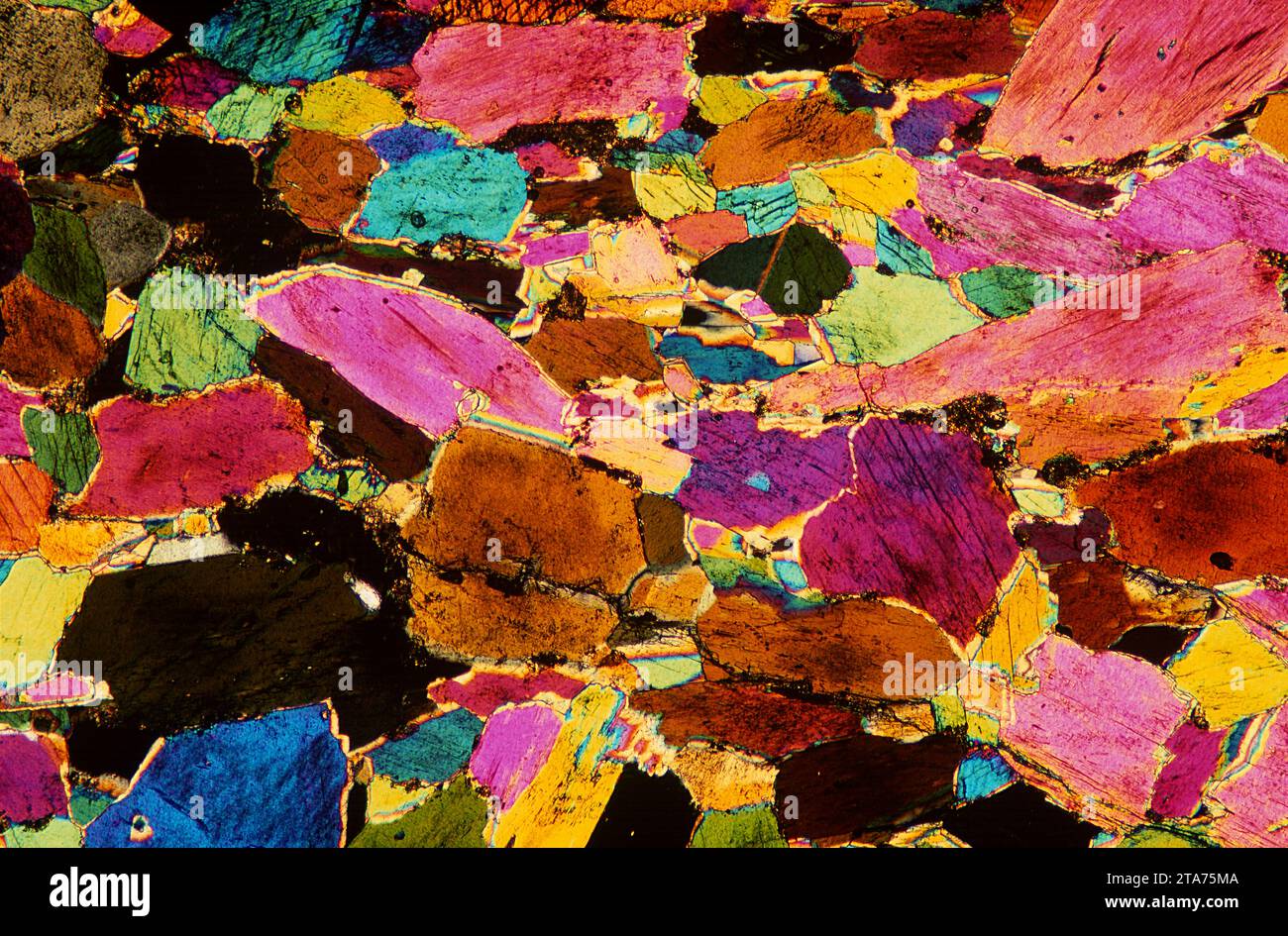 L’amphibolite est une roche métamorphique riche en amphibole (hornblende). Photomicrographe, section mince, lumière polarisée. Banque D'Images