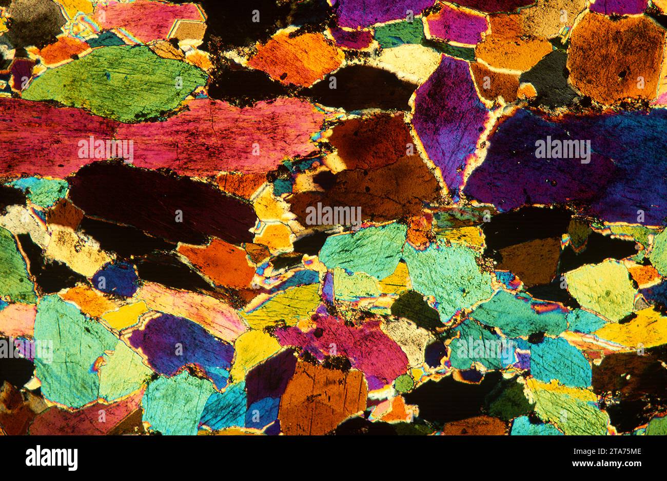 L’amphibolite est une roche métamorphique riche en amphibole (hornblende). Photomicrographe, section mince, lumière polarisée. Banque D'Images