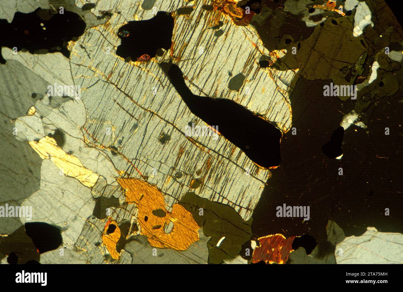L'anorthosite est une roche intrusive ignée riche en plagioclase. Photomicrographe, section mince, lumière polarisée. Banque D'Images