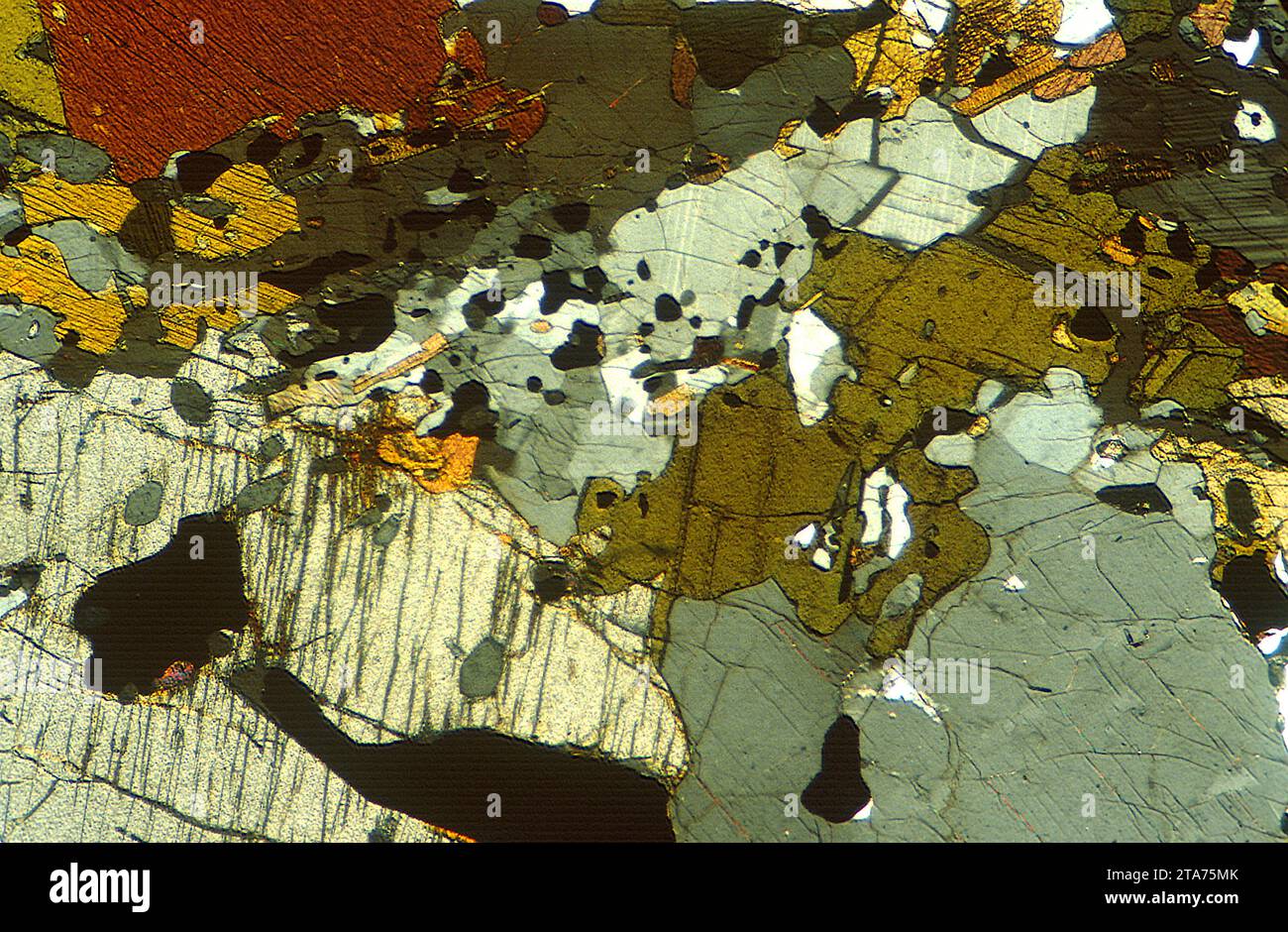 L'anorthosite est une roche intrusive ignée riche en plagioclase. Photomicrographe, section mince, lumière polarisée. Banque D'Images