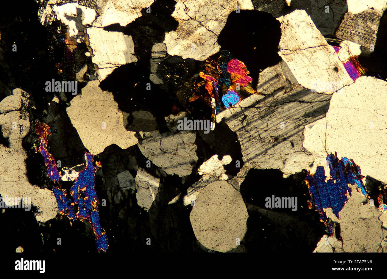 Le basalte est une roche extrusive ignée. Photomicrographe, section mince, lumière polarisée. Banque D'Images
