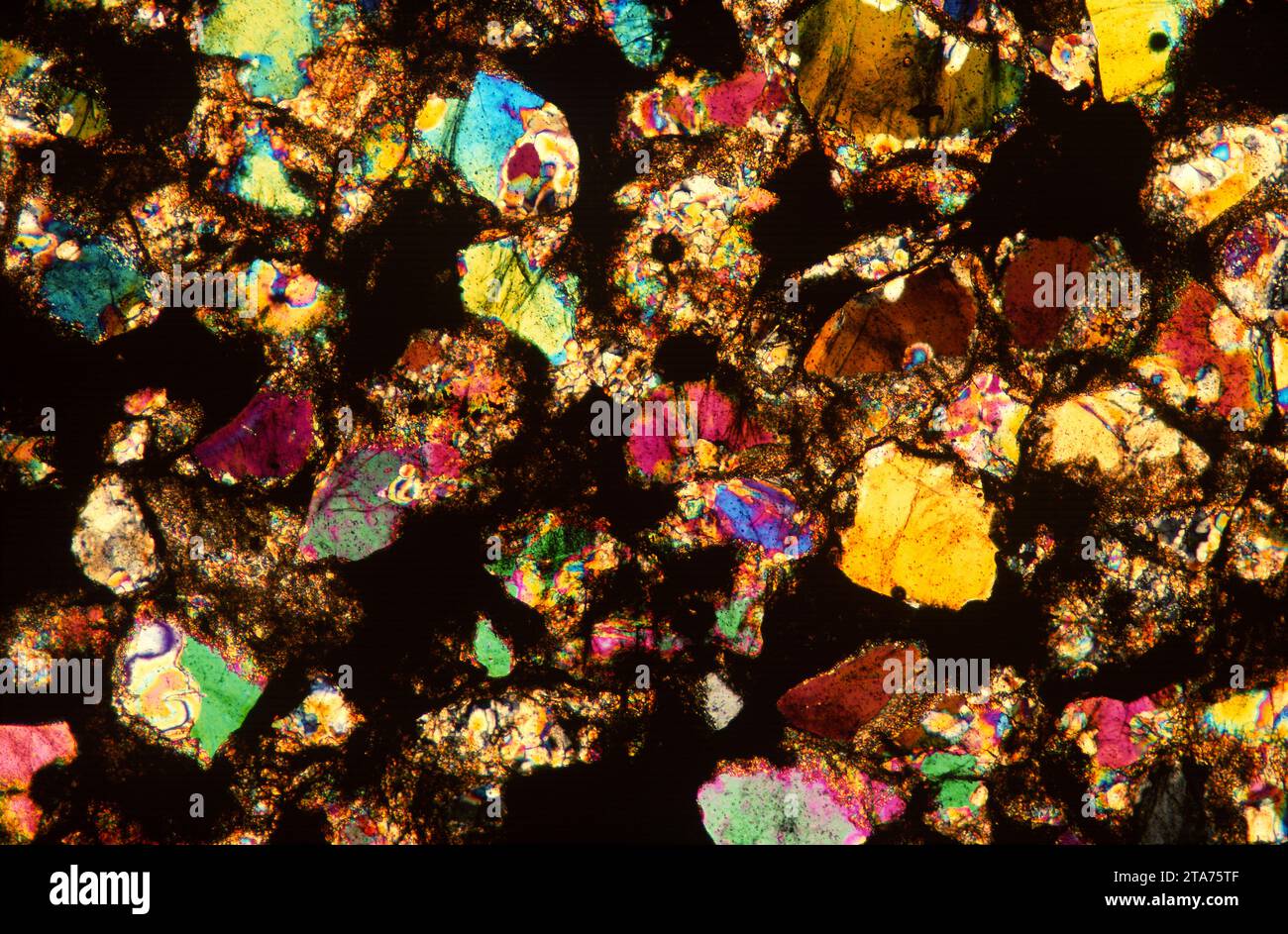 Le basalte est une roche extrusive ignée. Photomicrographe, section mince, lumière polarisée. Banque D'Images