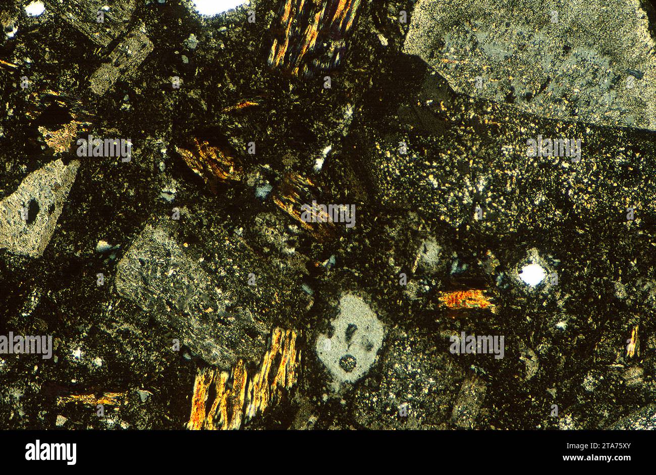 La dacite est une roche extrusive ignée intermédiaire entre l'andésite et la rhyolite. Photomicrographe, section mince, lumière polarisée. Banque D'Images