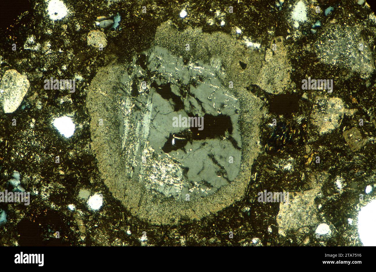 La dacite est une roche extrusive ignée intermédiaire entre l'andésite et la rhyolite. Photomicrographe, section mince, lumière polarisée. Banque D'Images