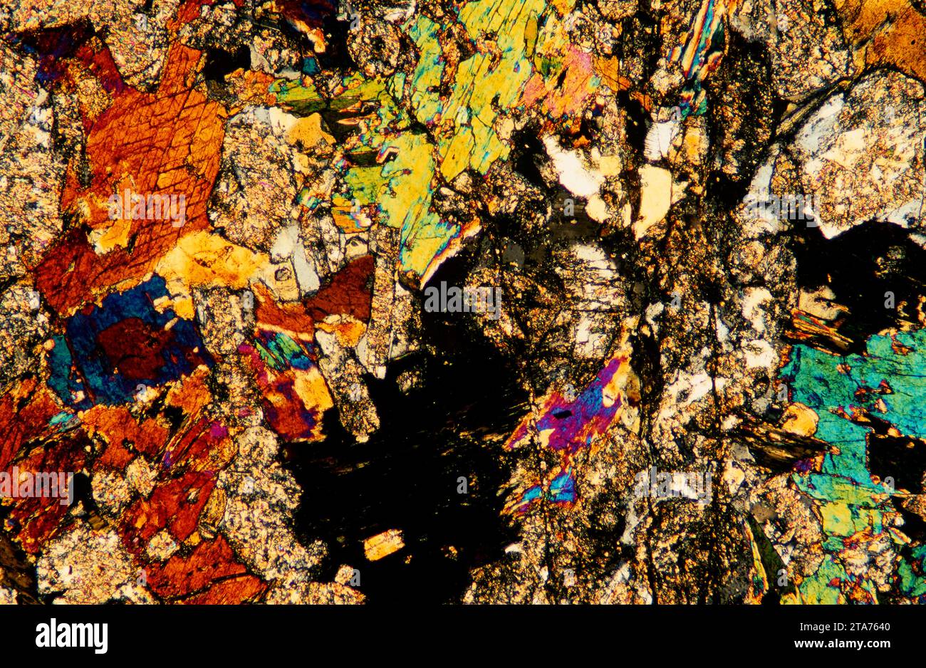 La diorite est une roche intrusive ignée intermédiaire entre le gabbro et le granite. Photomicrographe, section mince, lumière polarisée. Banque D'Images